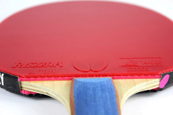 Butterfly TB7 Pro-Line with Rozena & Case Table Tennis Paddle